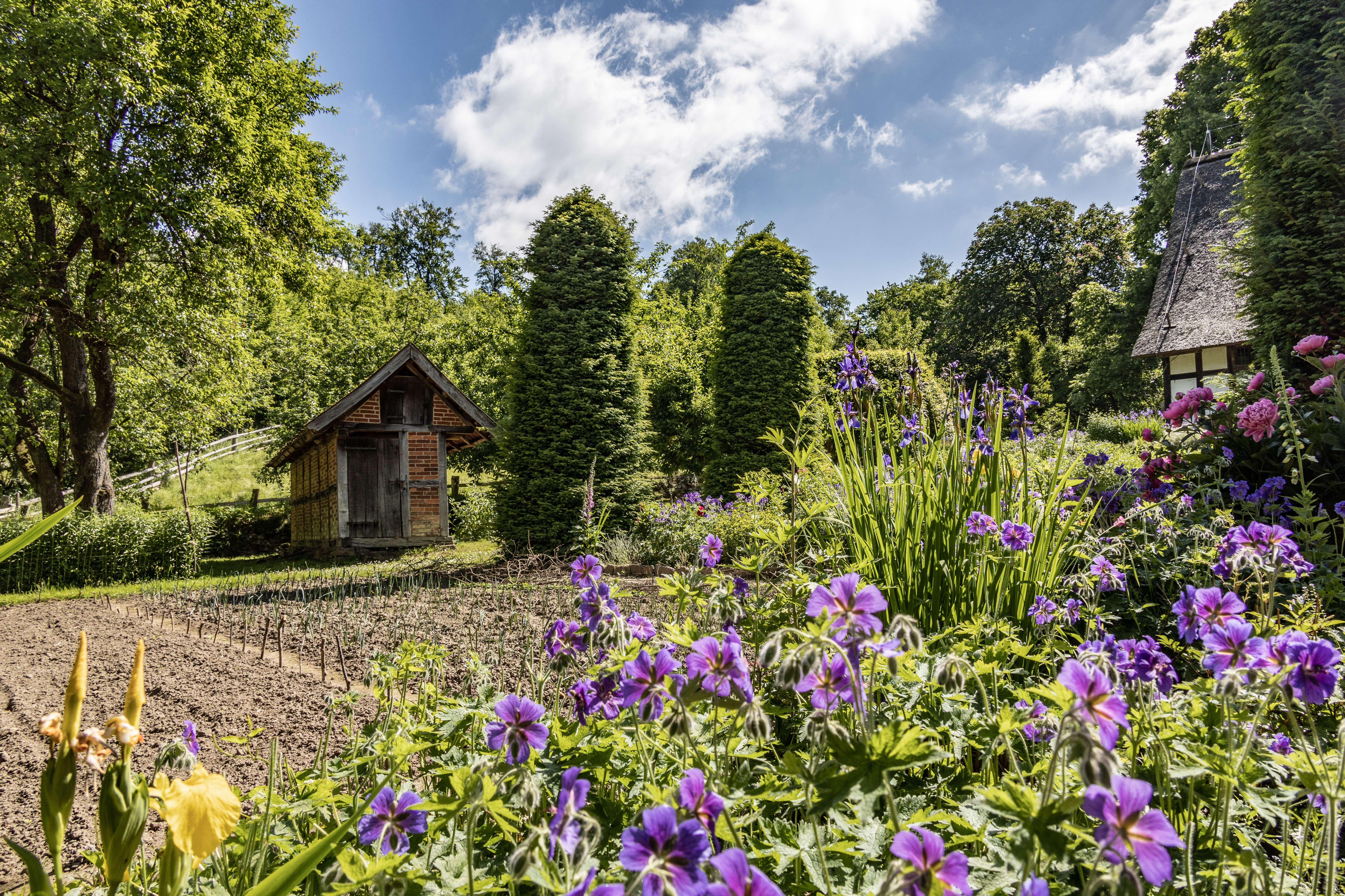 Garten Osnabrückerhof im LWL-Freilichtmuseum in Detmold von Fotograf Walter-Nitsche