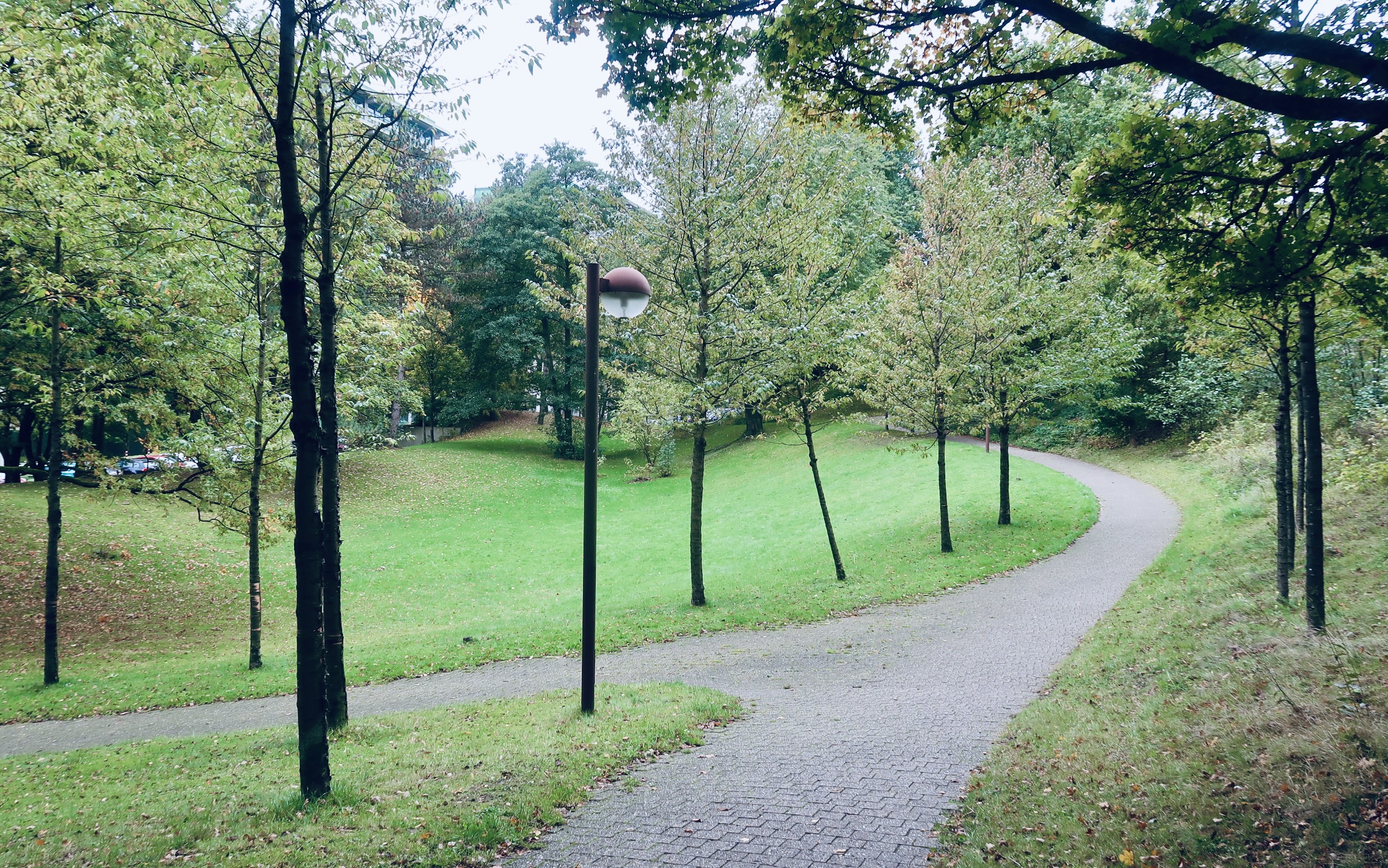Querforen der Ruhr-Universität Bochum