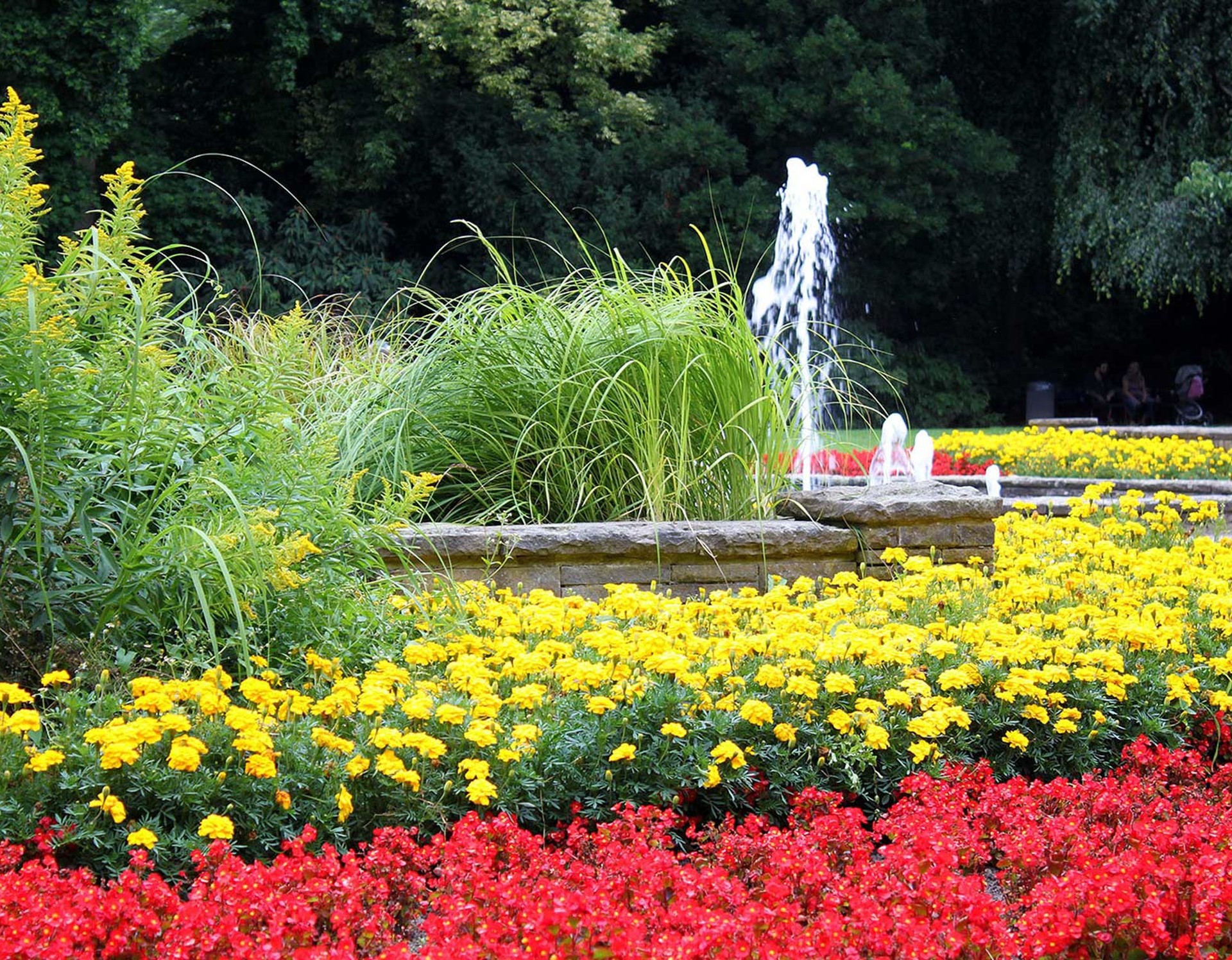 Zahlreiche Blumen zieren die Blumenbeete an den Springbrunnen des Stadtgartens Gelsenkirchen.
