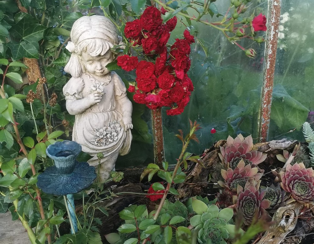 Blumengarten Münster