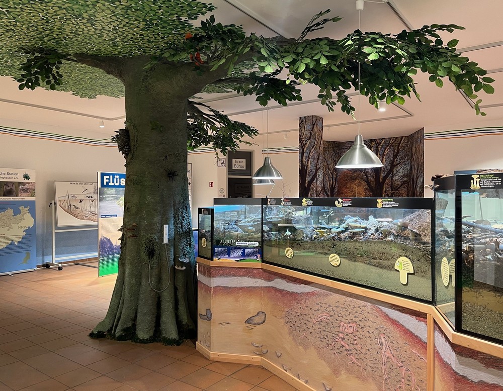 Naturparkhaus Biologische Station Kreis Recklinghausen e.V. in Dorsten