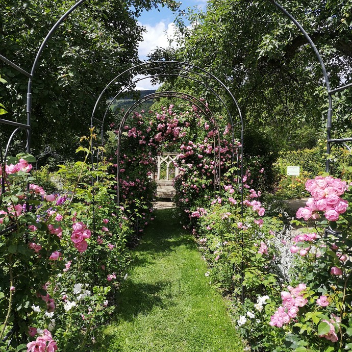 Sauerländer Blütengarten, Olsberg (öffnet vergrößerte Bildansicht)