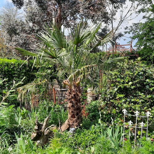 Garten Heinz und Chris Wiedenlübbert