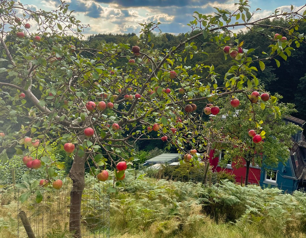 Solingen, Garten Wiegold