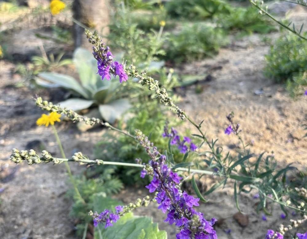 ArtenGarten an der Ruhr