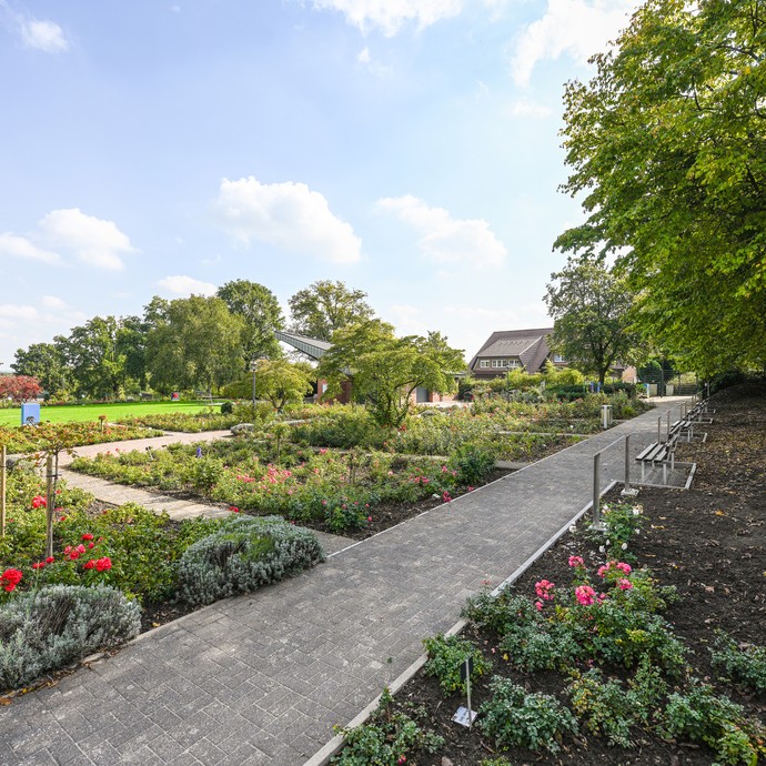 Lüdinghausen: Rosengarten Seppenrade (vergrößerte Bildansicht wird geöffnet)