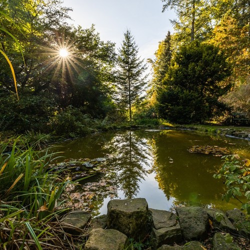 Botanischer Garten Loismann
