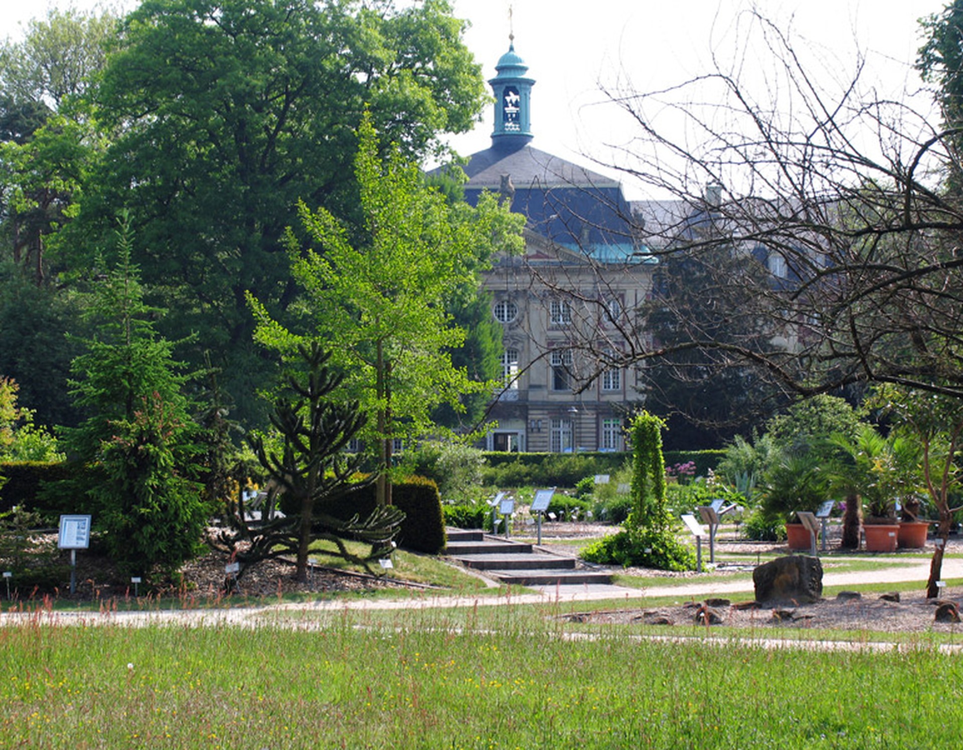 Blick auf den Systembereich des Botanischen Gartens Münster. Dort befinden sich Samenpflanzen. Im Hintergrund sieht man das Fürstbischöfliche Schloss Münster.