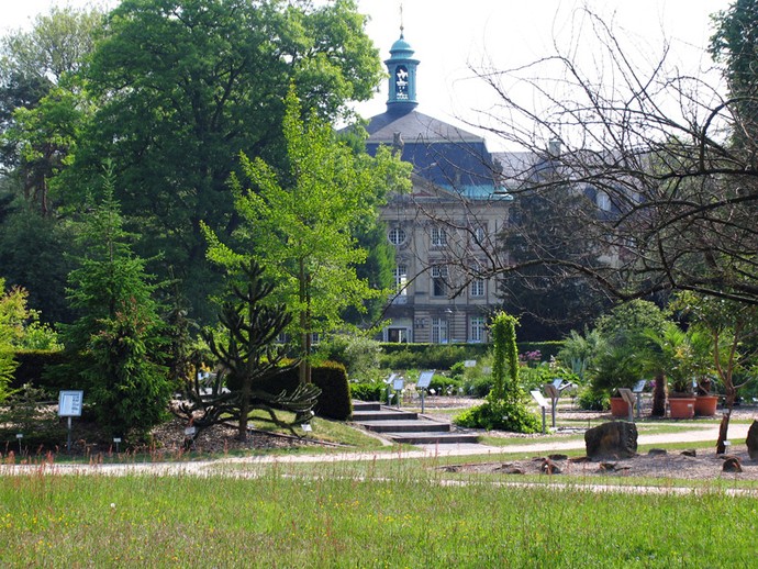 Blick auf den Systembereich des Botanischen Gartens Münster. Dort befinden sich Samenpflanzen. Im Hintergrund sieht man das Fürstbischöfliche Schloss Münster.