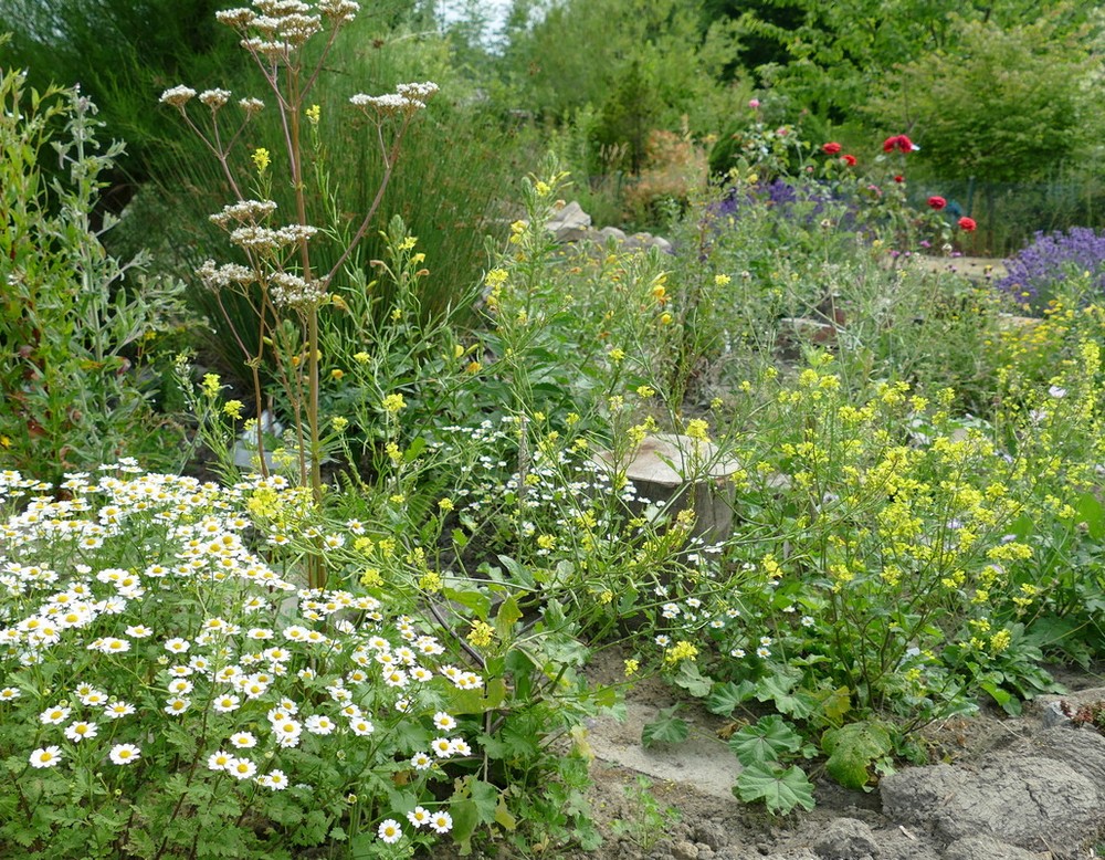NABU-Ruhrgebietsgarten
