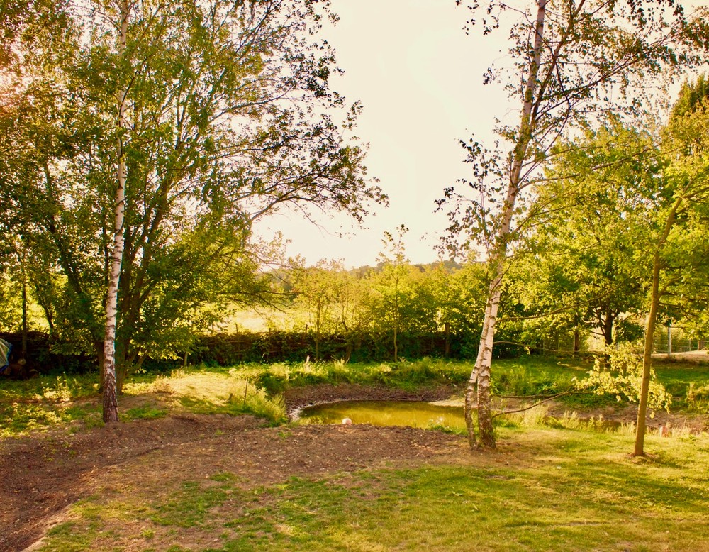 Münster, Kulturgarten im Kulturquartier