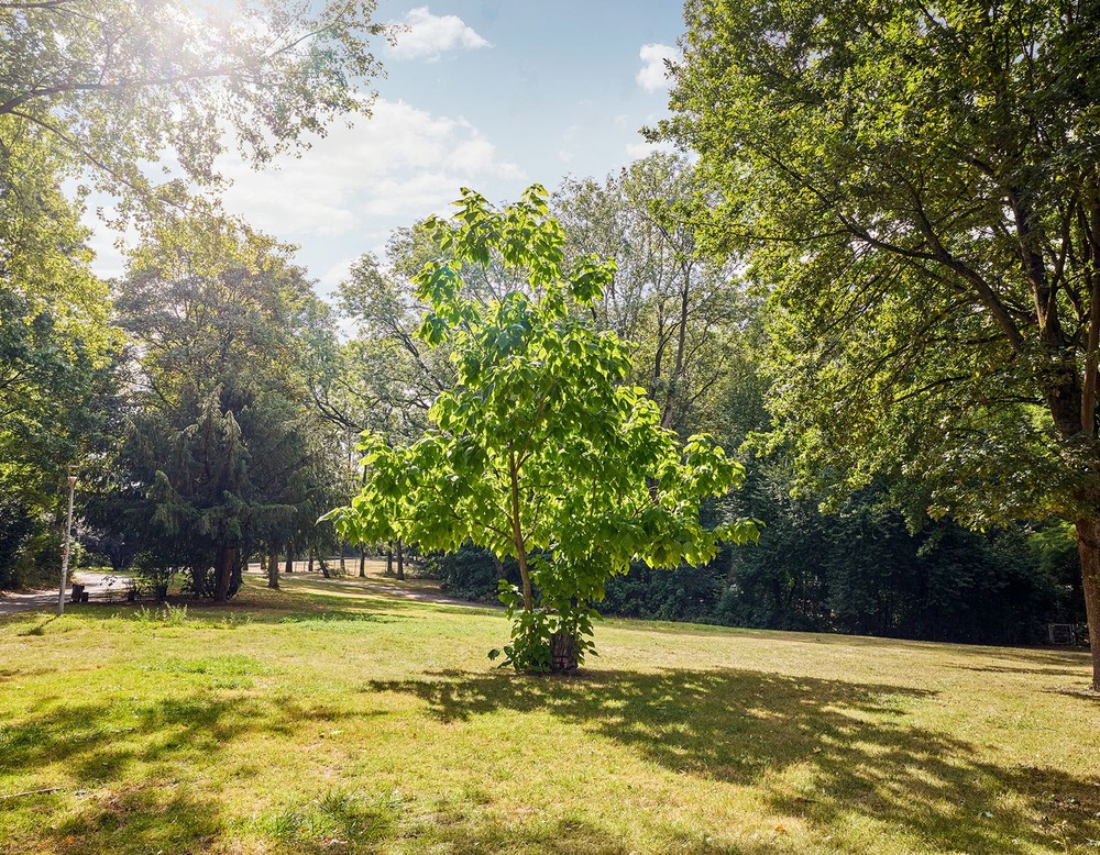 Herne Revierpark Gysenberg