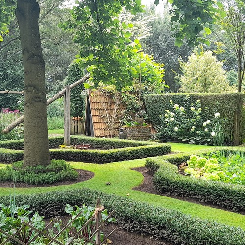 Landhausgarten Borggreve Sommer