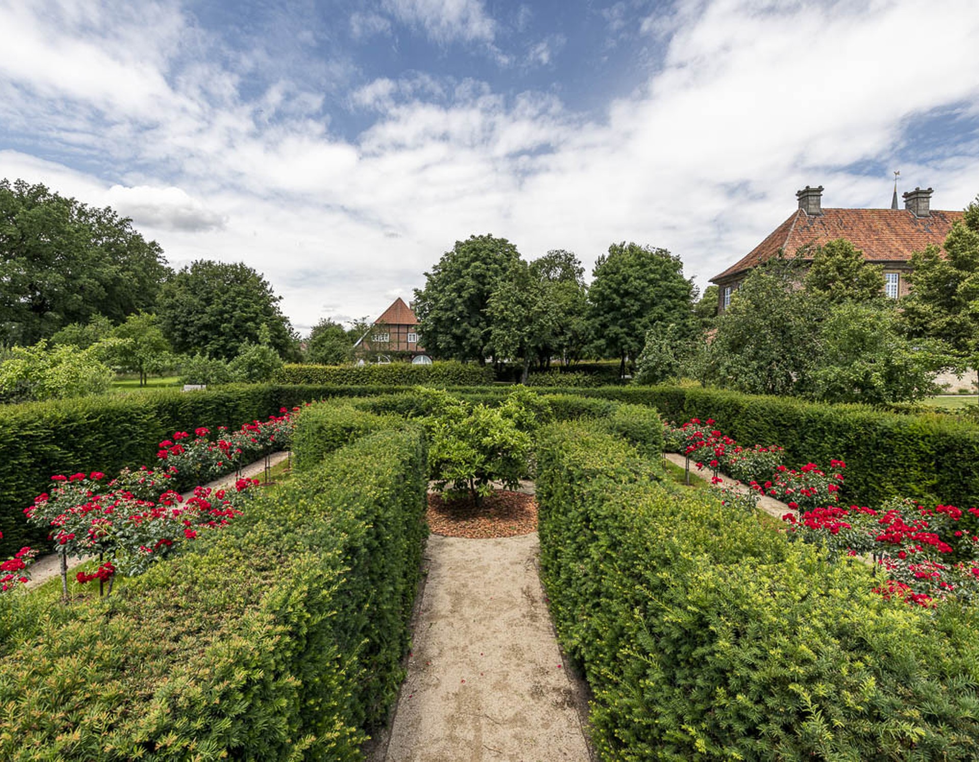 Der Labyrinthgarten von innen mit zahlreichen Rosensträuchern.