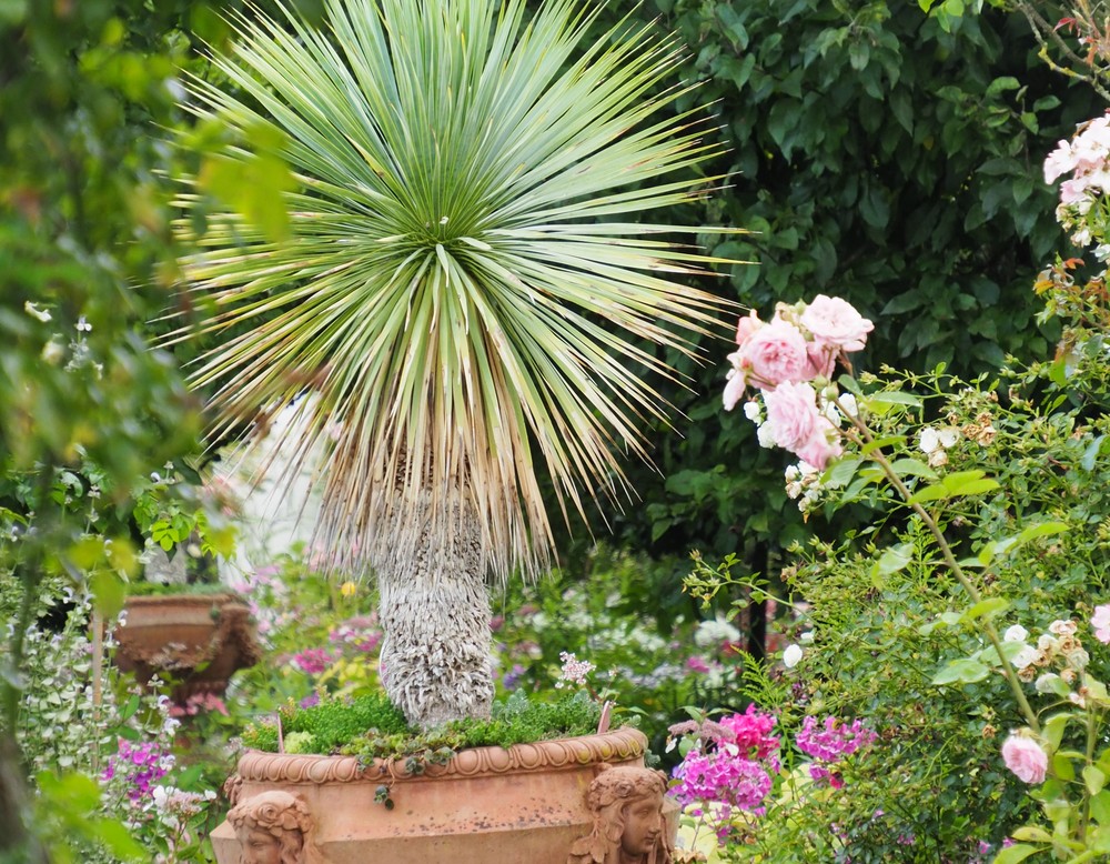 Der Verborgene Garten