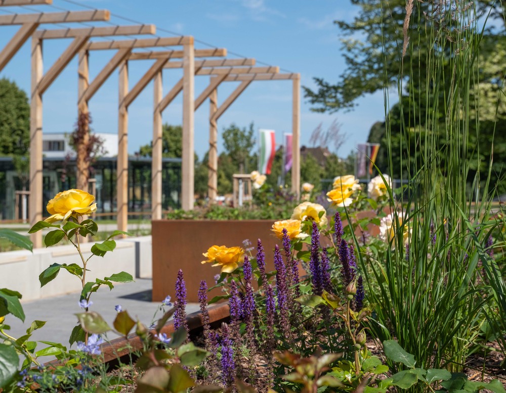 Rosengarten in Bielefeld