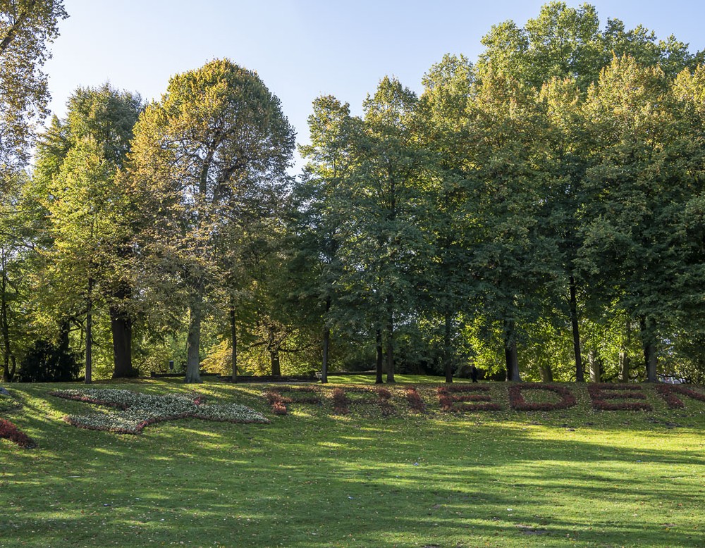 Promenade Münster, Lindenallee, Blumenrabatte "Frieden"