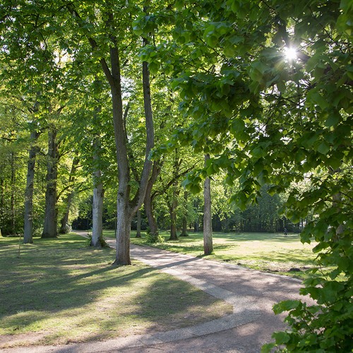 Kurpark Bad Waldliesborn