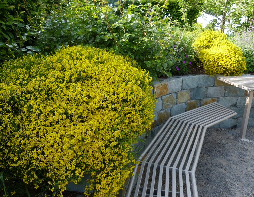 Erwitte-Seringhausen, Garten für Jung & Alt