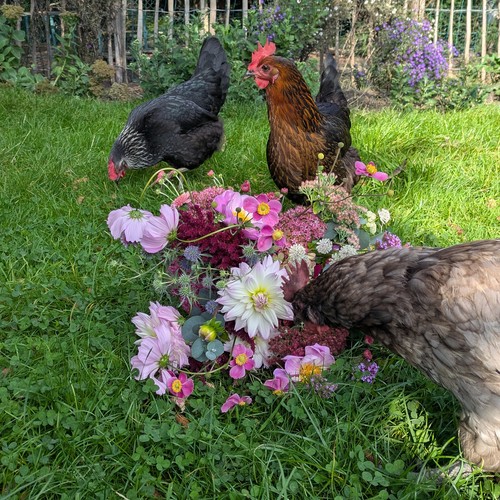 Giannas Gartenwerkstatt
