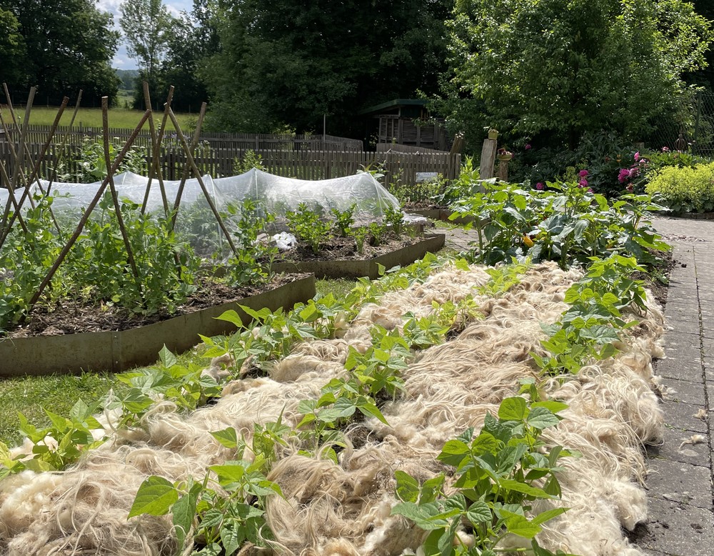 Warstein, Garten Familie Hagedorn