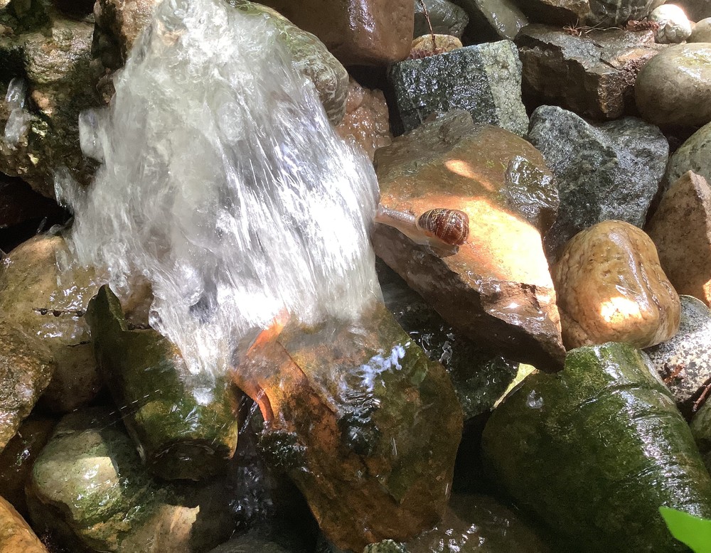 Unser Unperfekt - Garten