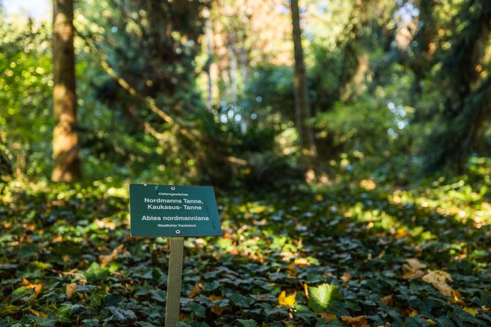 Garten Loismann in Ibbenbüren
