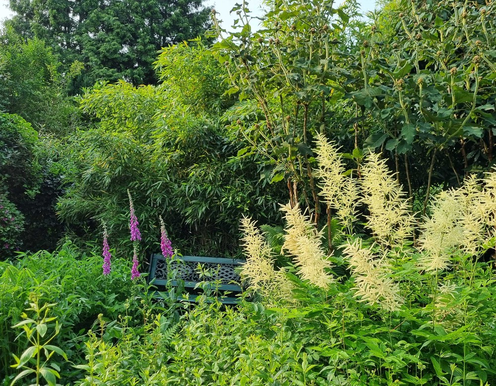 Romantischer Naturgarten