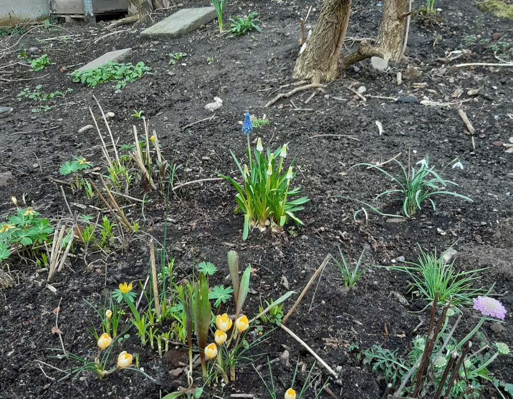Duisburg: Garten Edel e.V.