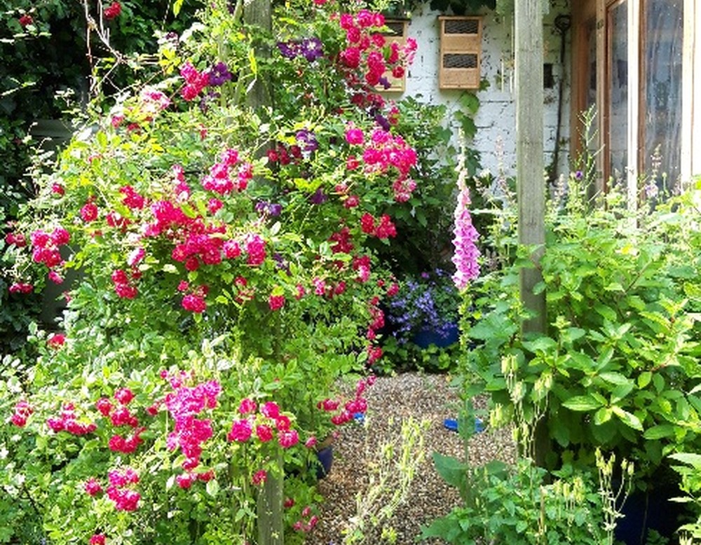 Naturnaher Familiengarten