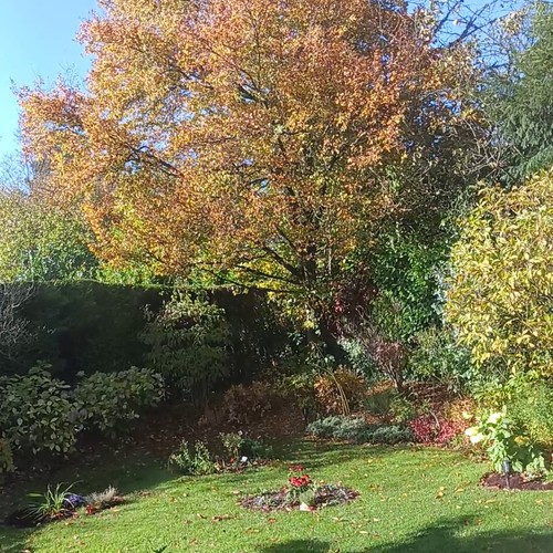 Garten Buchholz