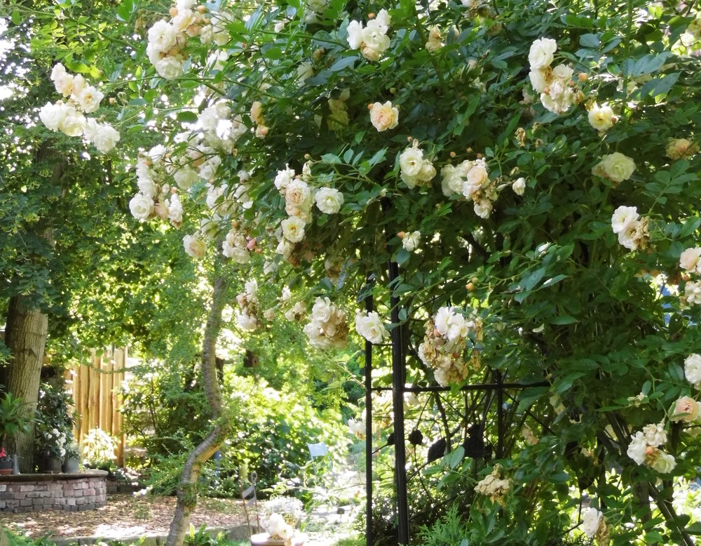 Bad Salzuflen, Tegtmeyer