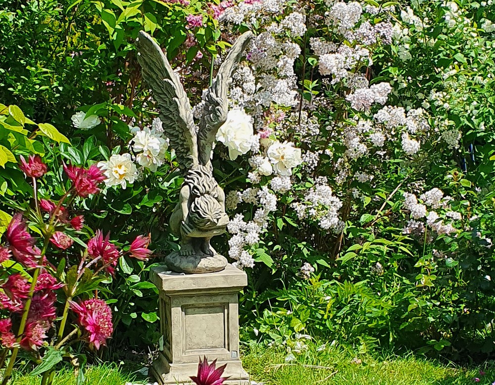 Garten Rohpeter in Dortmund