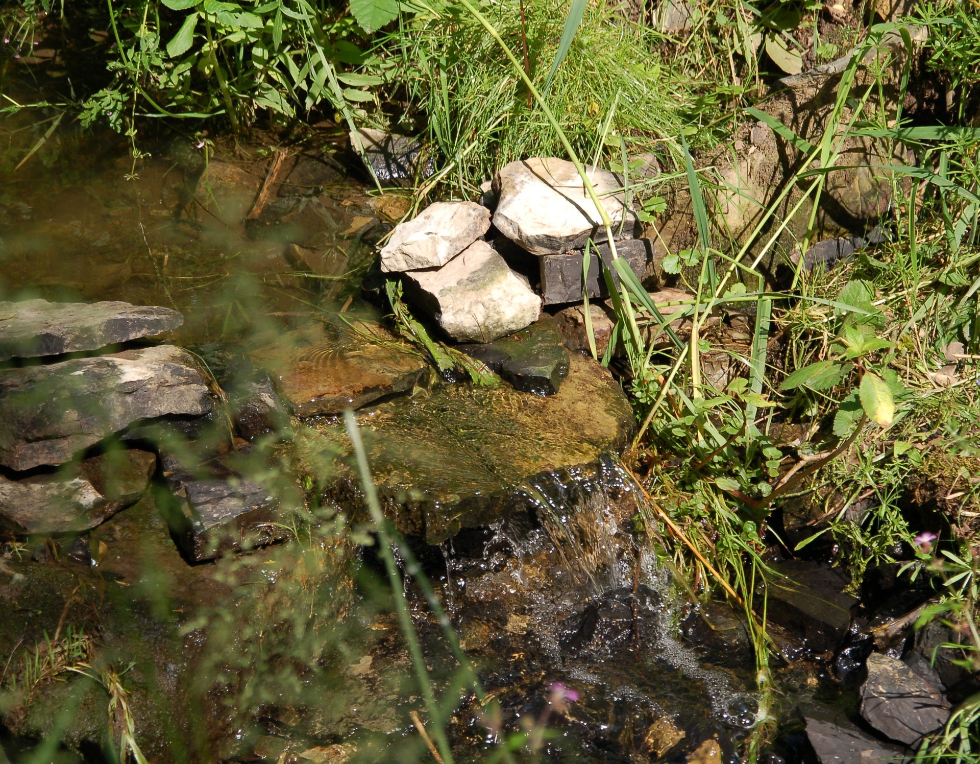 Horn-Bad Meinberg, Naturschutzgarten