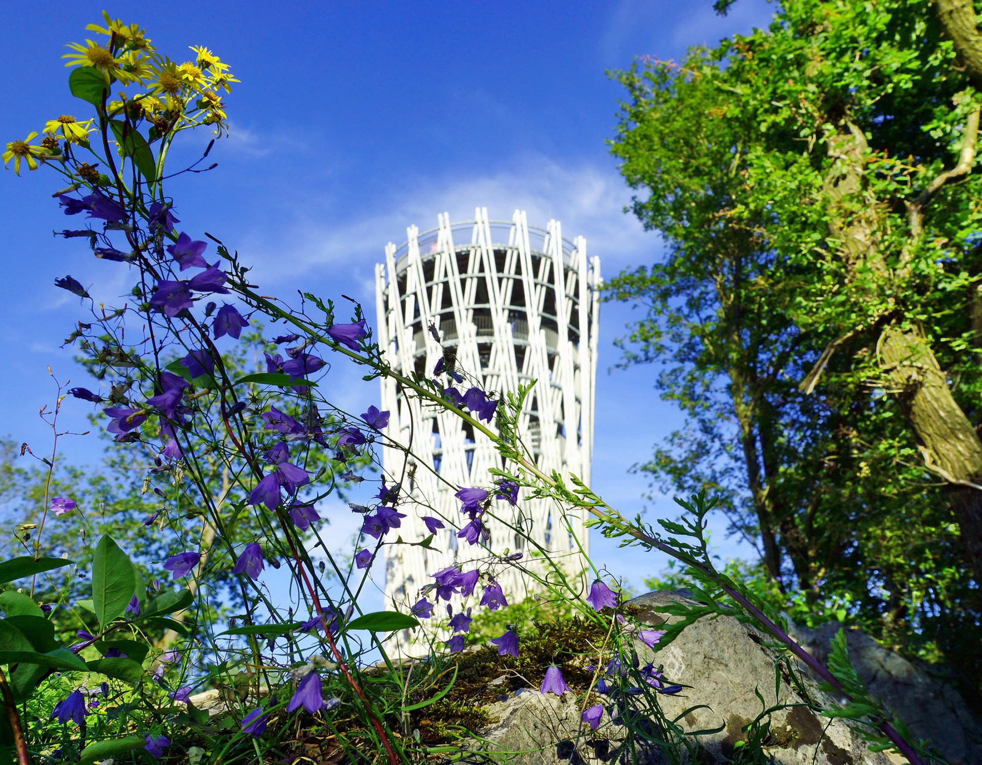 Verschiedene Pflanzen in der Nähe des Jübergturms im Sauerlandpark Hemer. Der Turm ist im Hintergrund sichtbar.