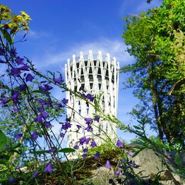 Verschiedene Pflanzen in der Nähe des Jübergturms im Sauerlandpark Hemer. Der Turm ist im Hintergrund sichtbar.