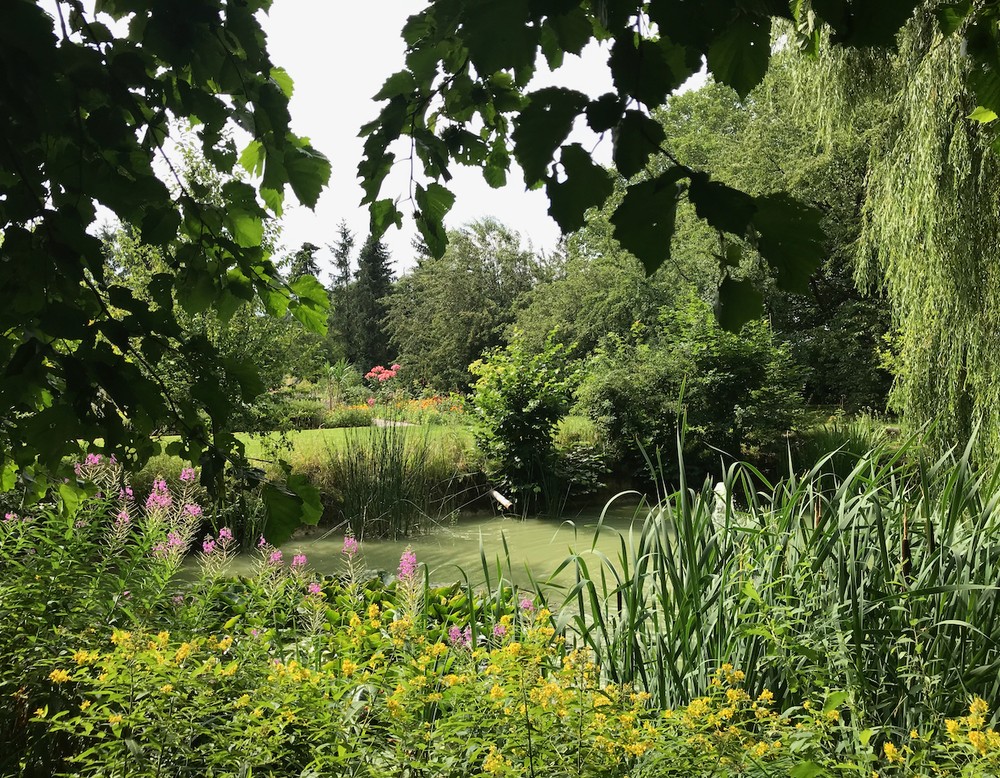 BiKis Schätze der Natur