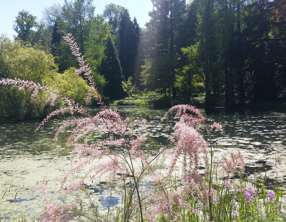 Botanischen Gartens Münster.
