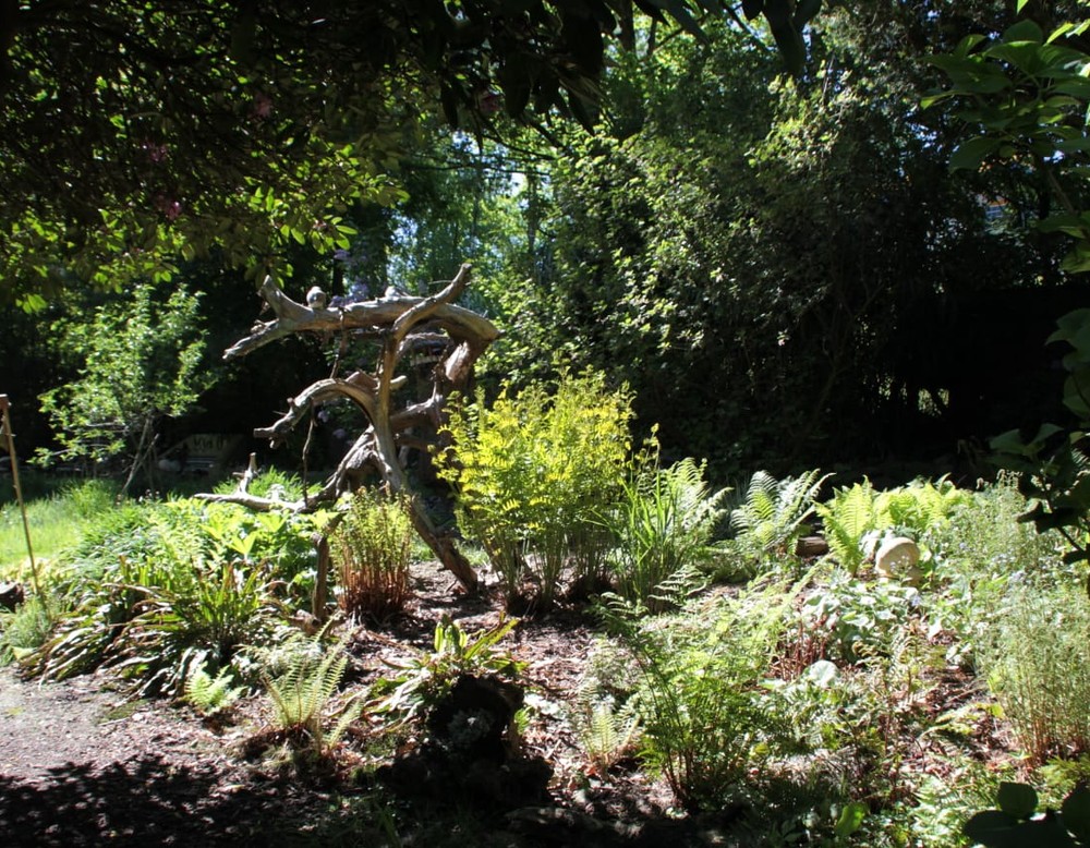 Bochum Südwest, Naturgarten - im freien Zuhause