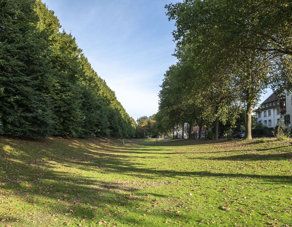 Promenade Münster, Lindenallee