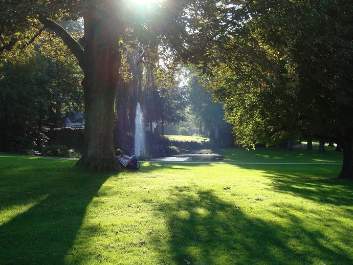Am Fontänenteich im Palaisgarten Detmold fallen die Sonnenstrahlen durch die Blätter der Bäume. An einem der Bäume sitz ein Mensch und liest.