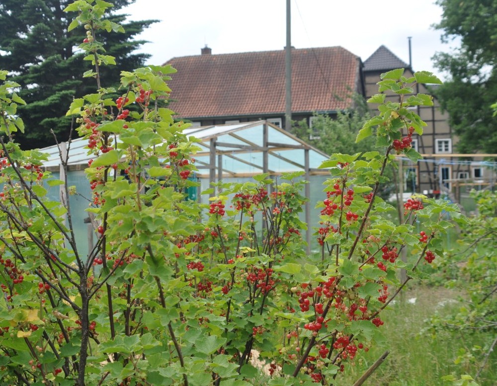 Dortmund, Bauernhofgarten und Solidarischer Gemüseanbau