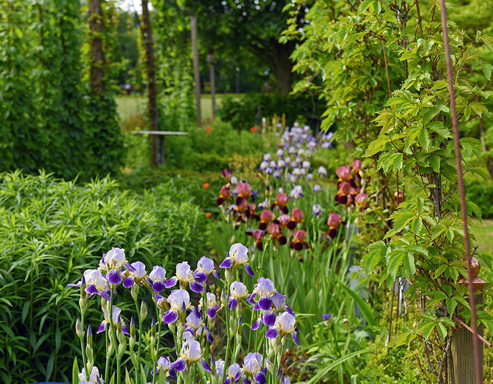 Marienfeld, Klostergarten am Klosterhof in Marienfeld