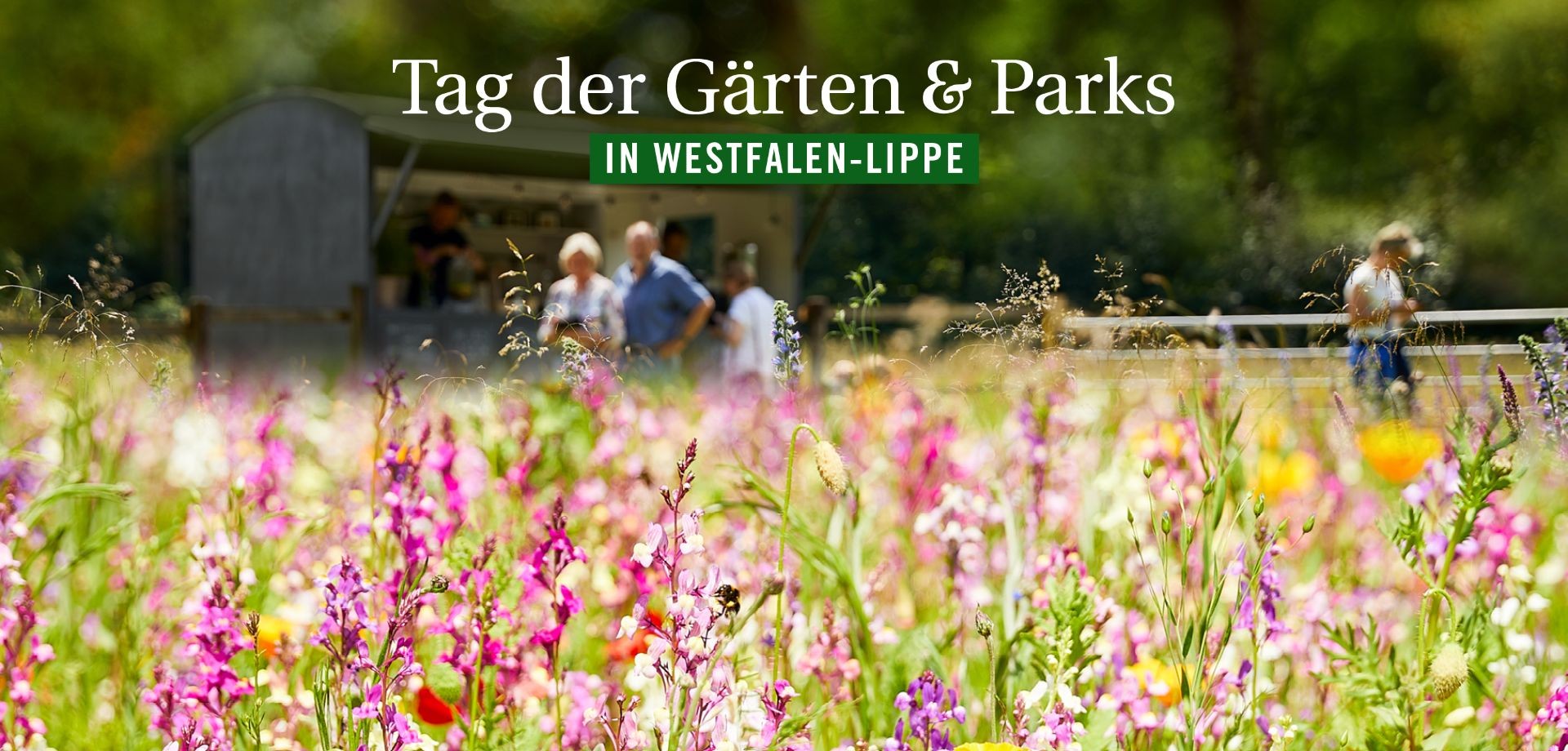 "Tag der Gärten und Parks in Westfale-Lippe" Garten mit Besucher:innen