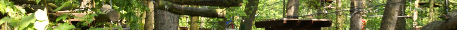 Klettergarten Wischlingen