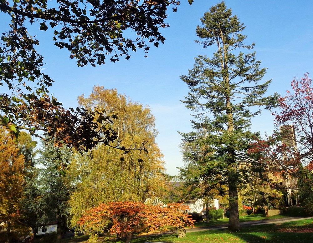 Horn-Bad Meinberg, K[ult]urpark Holzhausen-Externsteine