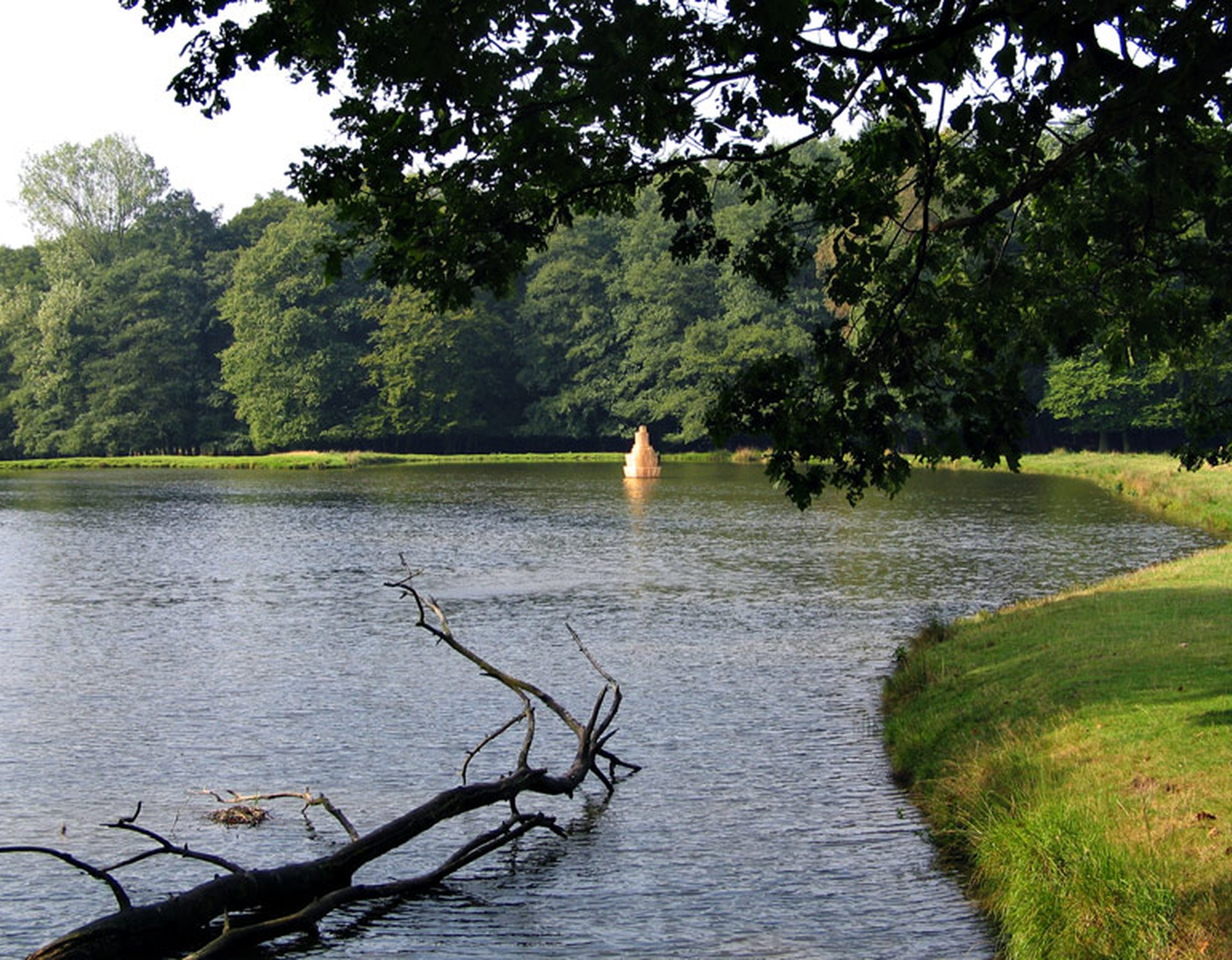 In einem See des Wildparks Dülmen liegt ein Baumast.