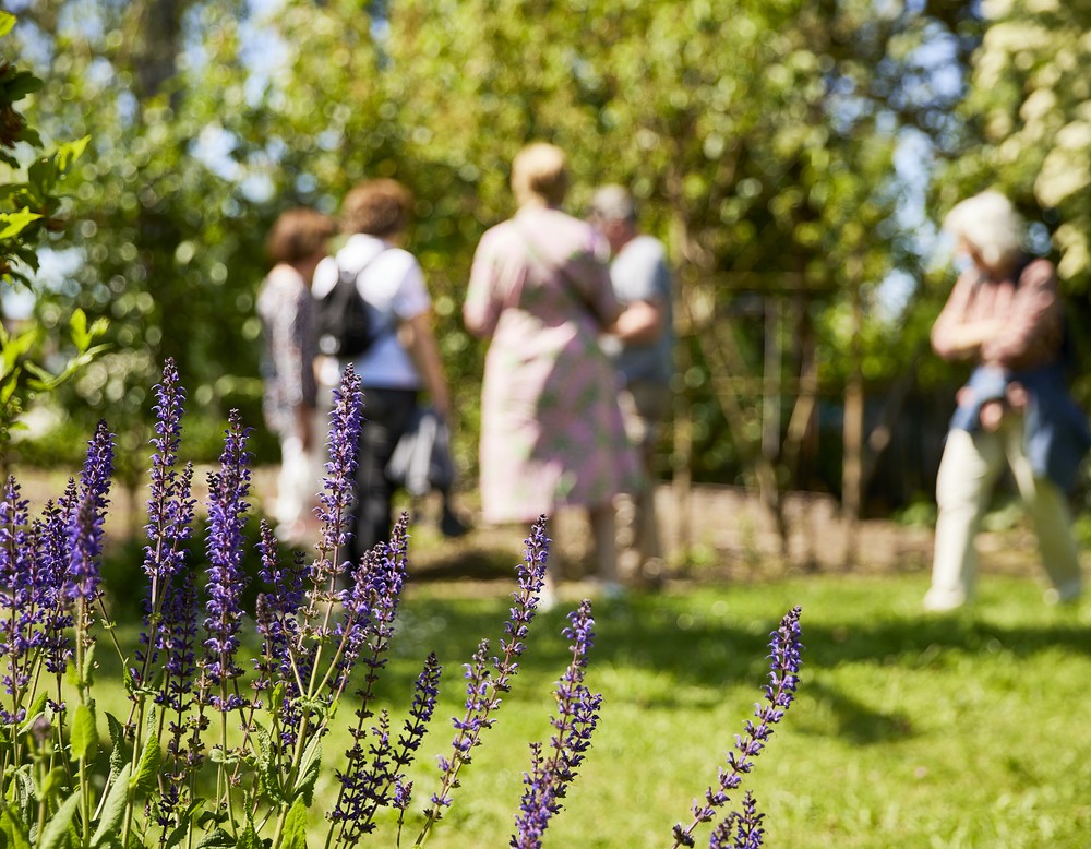 Tag der Gärten und Parks in Westfalen-Lippe 2023 - im VHS Ideengarten in Paderborn