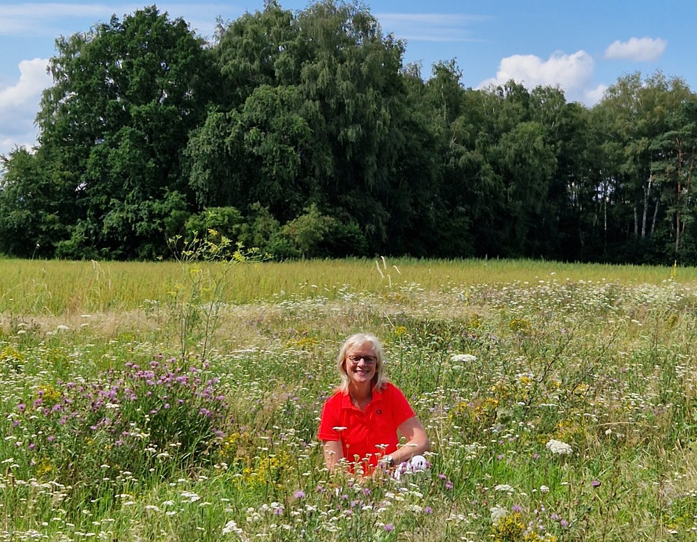 Borken, Streuobstwiese am Sternbusch