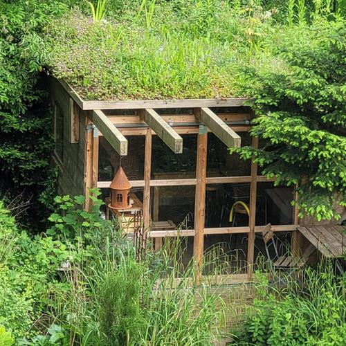 Dortmund: Naturgarten mit altem Baumbestand